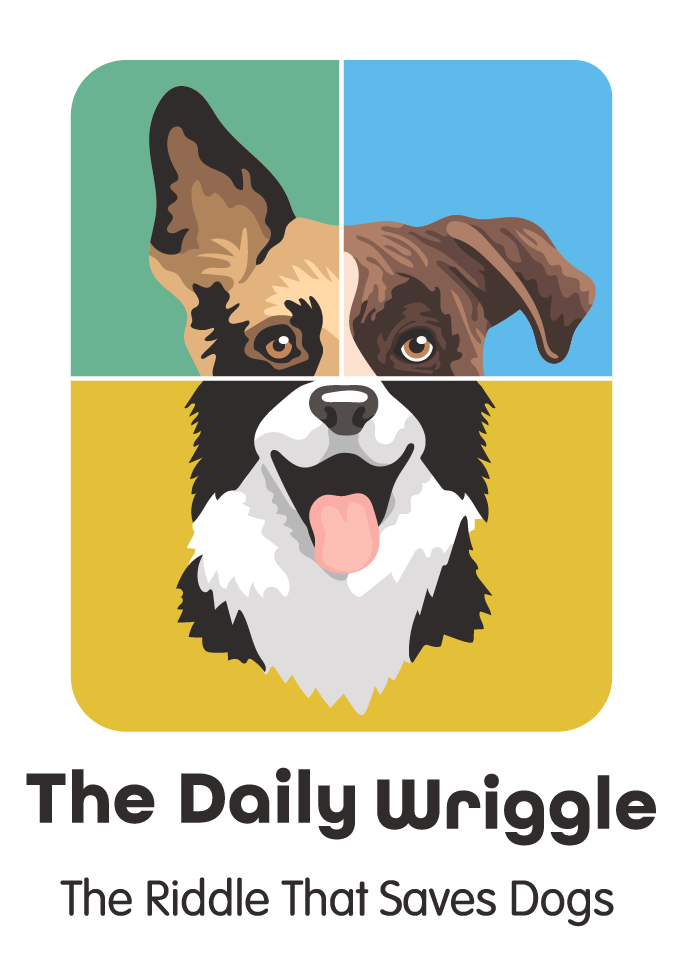 Daily Wriggle Logo